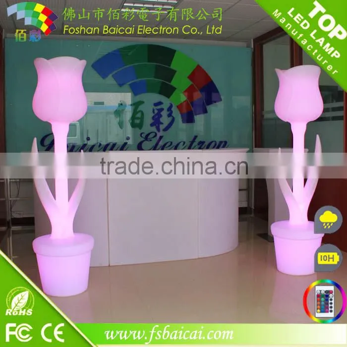 Color Change LED Decorative Floor Light
