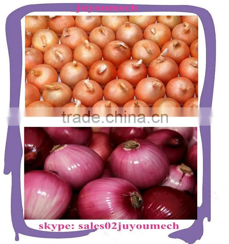 Engineers available to service machinery overseas After-sales Service Provided and Stripper Type onion peeling machine