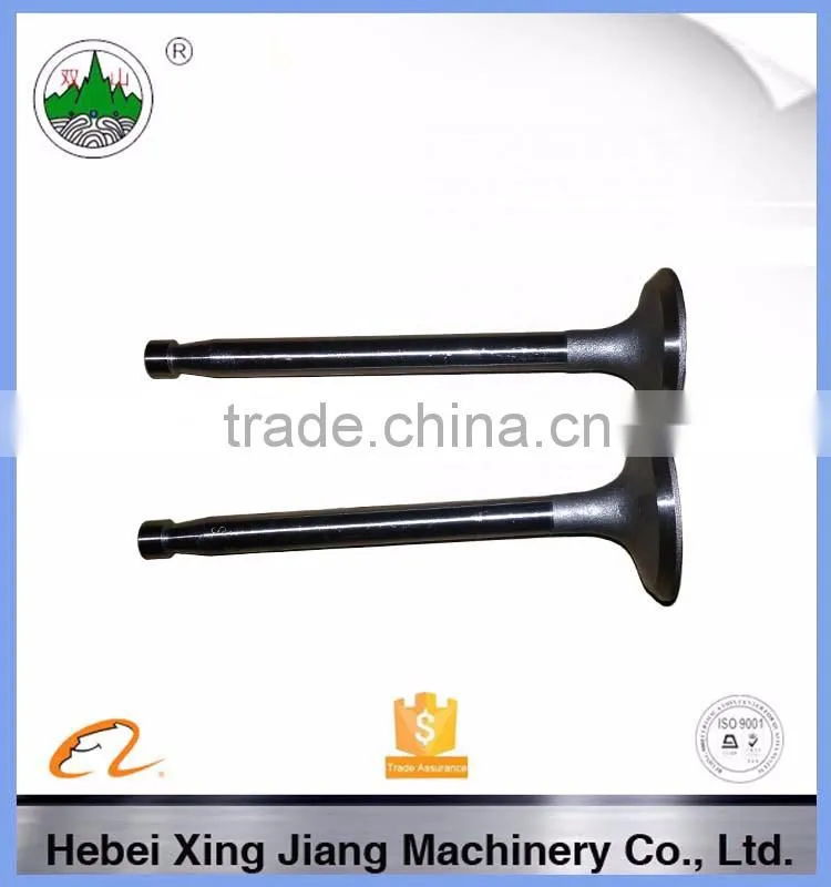 engine parts valve in Hebei