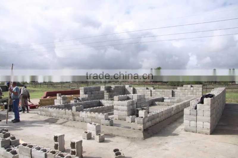 Plastic Concrete Block Interlocking Paver Mold Cement Paving Stone Mould