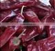 Chinese supplier wholesales export dried red chilli import from china