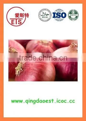 Bulk market price Fresh Red Onion products