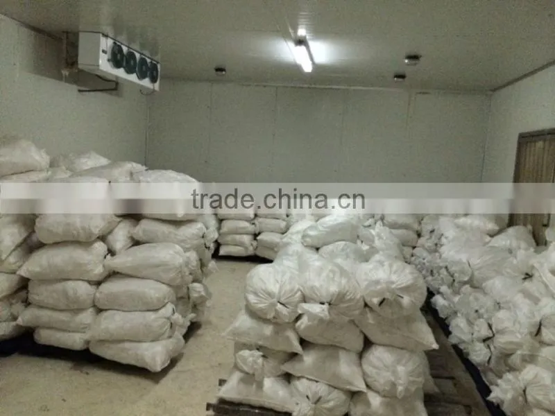INDONESIA COCONUT PULP, COCONUT FIBER, COCONUT WATER AND CHARCOAL