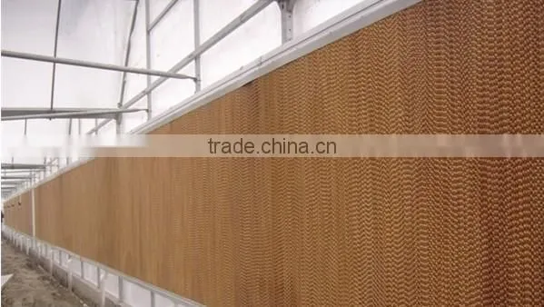Automatic Poultry Feeding System/Auger Feed System For Poultry