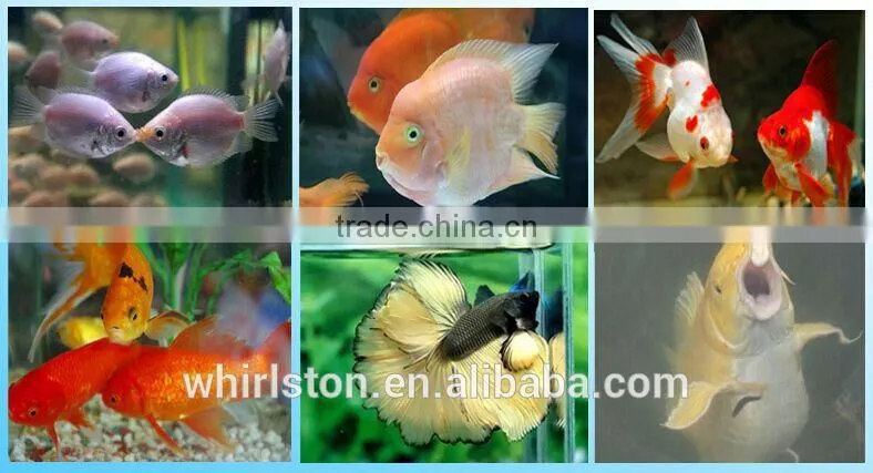 CE approved factory price floating fish feed pellet machine/fish food making machine