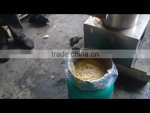 Apple Paste Making Machine for sale