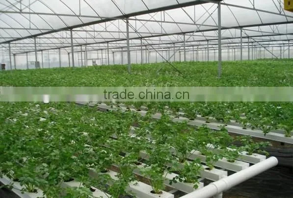 Saudi Arabia Hotselling Plastic Channel Hydroponic Gully