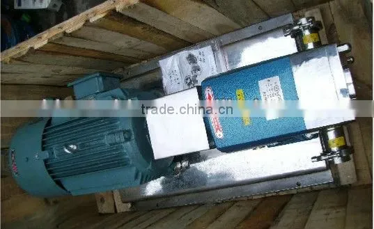 High Quality Stainless Steel Rotor Stator Pump