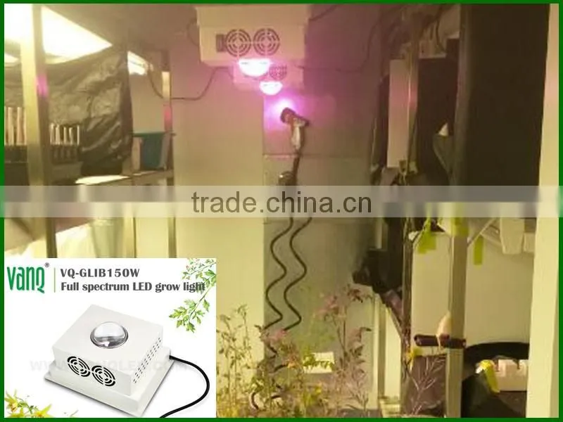 Hot sell Cob led grow bulbs150 w indoor grow light bulbs