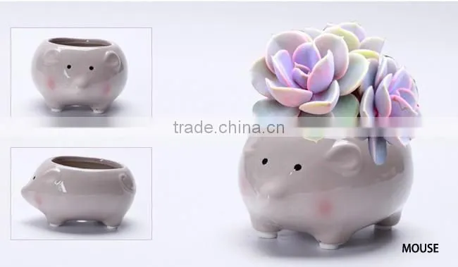 Cartoon succulent flowerpot ornaments small ceramic animal planters