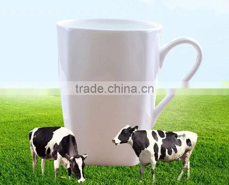 haonai high quality square ceramic mug with handle