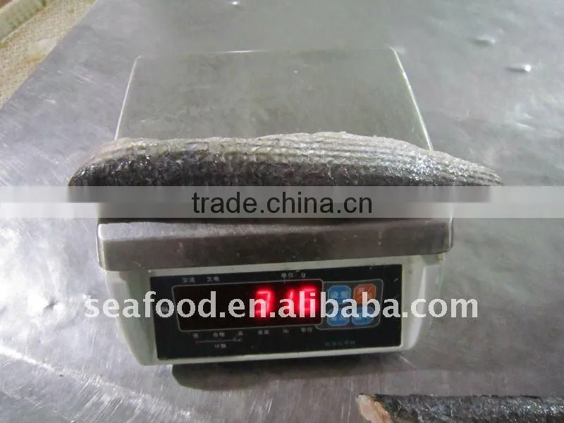 IQF frozen grey mullet fillets skin-on without scale