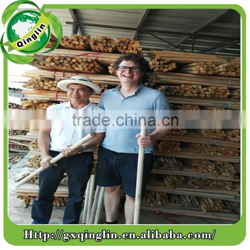 pvc coated wood coconut broom stick importers made in China factory