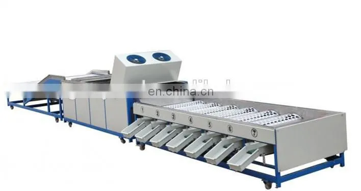 orang sorter machine/ mandarin orange sorting machine/ apple grading machine