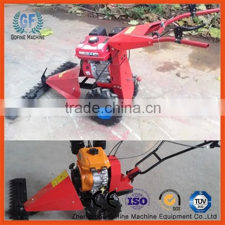gasoline lawn mower