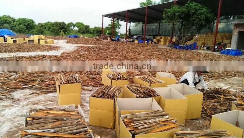 CINNAMON BROKEN /CASSIA BROKEN