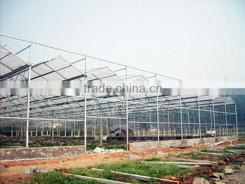 Hot Dipped Galvanized Tomato Growing Greenhouse