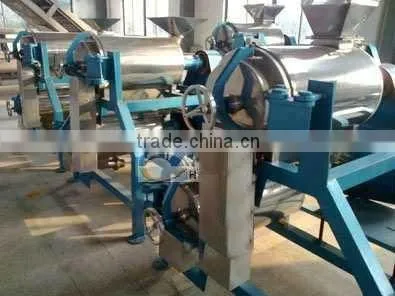 wide output range full stainless steel fruit juicer machine