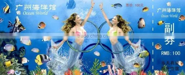 Memory value 3D lenticular tickets for parks, From 3D-WORLD Brand,TC-P02