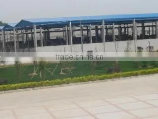 Henan Boom Gelatin Co., Ltd. company overview - view 3
