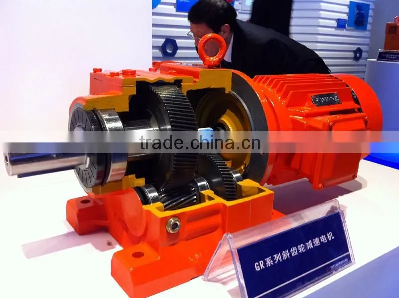 Electric motor with reduction gear