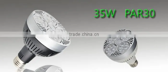 PAR30 36W 35mm Diameter Most Powerful Led Spotlight E27