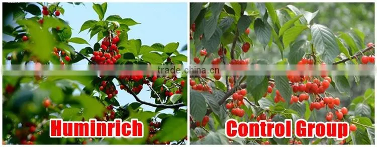FAQ 10--Huminrich Potassium Humate Fertilizer For Garden