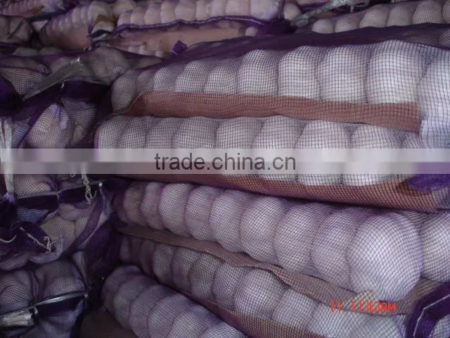 Fresh Pure White Garlic 5.0cm Packed In Carton