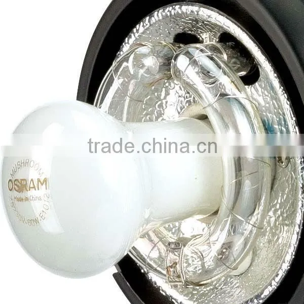 AKE series 400WS/600WS/800WS HSS studio flash for photography