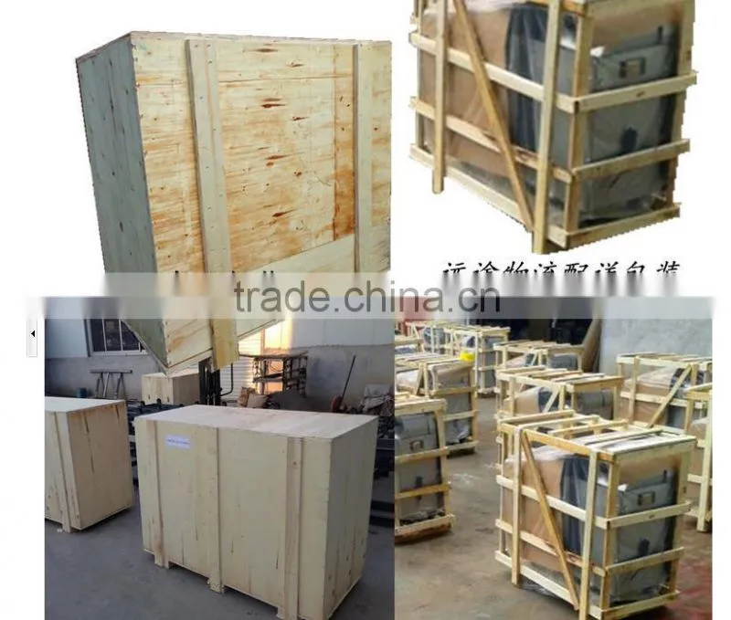 automatic vegetable cutter with high capacity