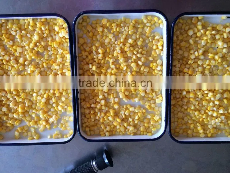 Good taste canned sweet corn A9/A10 for Europe Market