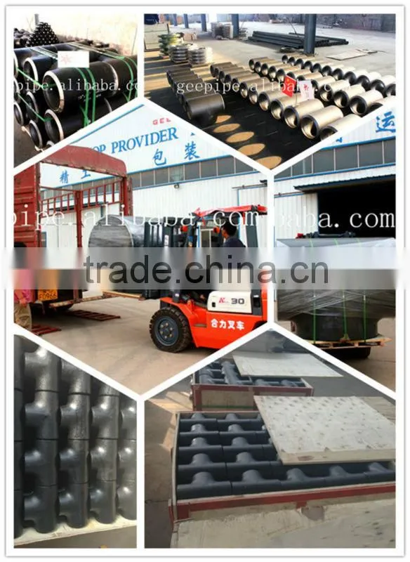 12 Sch 40 pipe cap