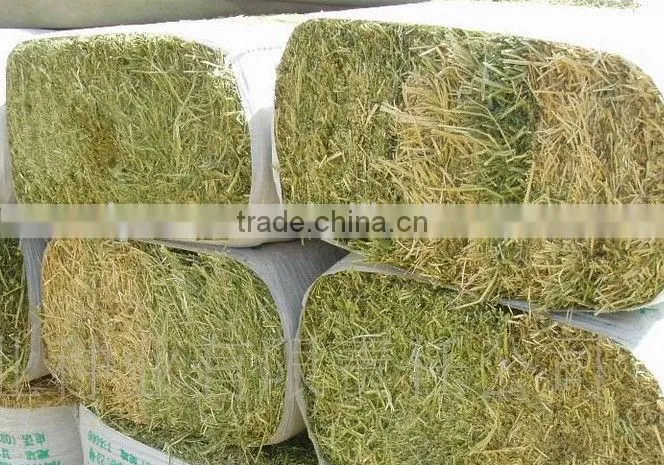 Waste Recycling Rice Straw Square Baling Hay