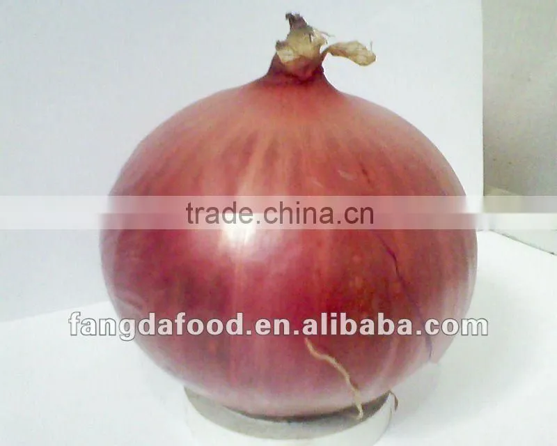 fresh yellow onion(in low price)