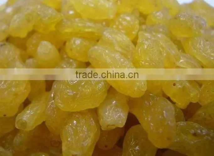 Yellow sultana raisin/gold raisin