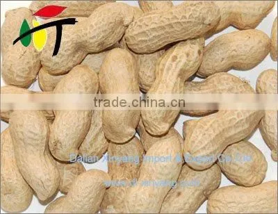 ROASTED salted PEANUTS