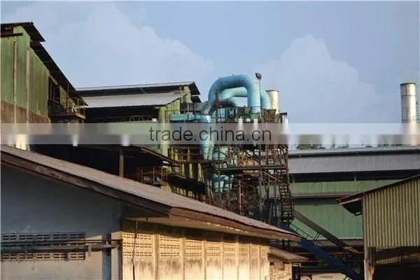 Palm oil plant installed in Indonesia