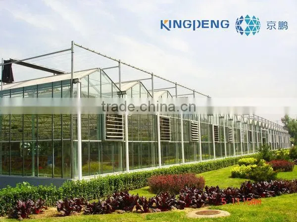 Large Size Multi Span Glass Greenhouse