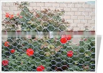 Hexagonal Wire Netting high quality