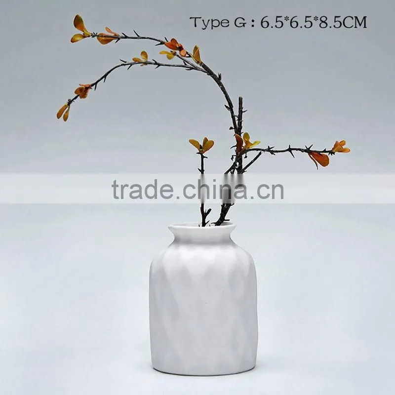 Various types home decoration hydroponics white flower ceramic vase