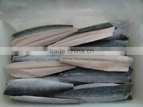 frozen spanish mackerel fillet