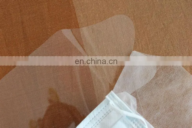 Disposable nonwoven mask with plastic shield