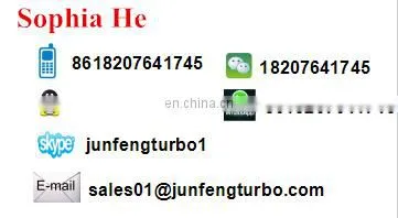 Fuel Injection Pump BHF4PL090 F3100-1111100B-172 4PL242A 1727D1000104