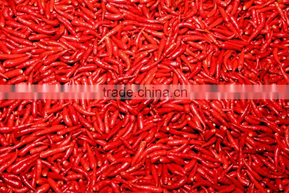 Frozen Hot Red Chili Pepper from Vietnam