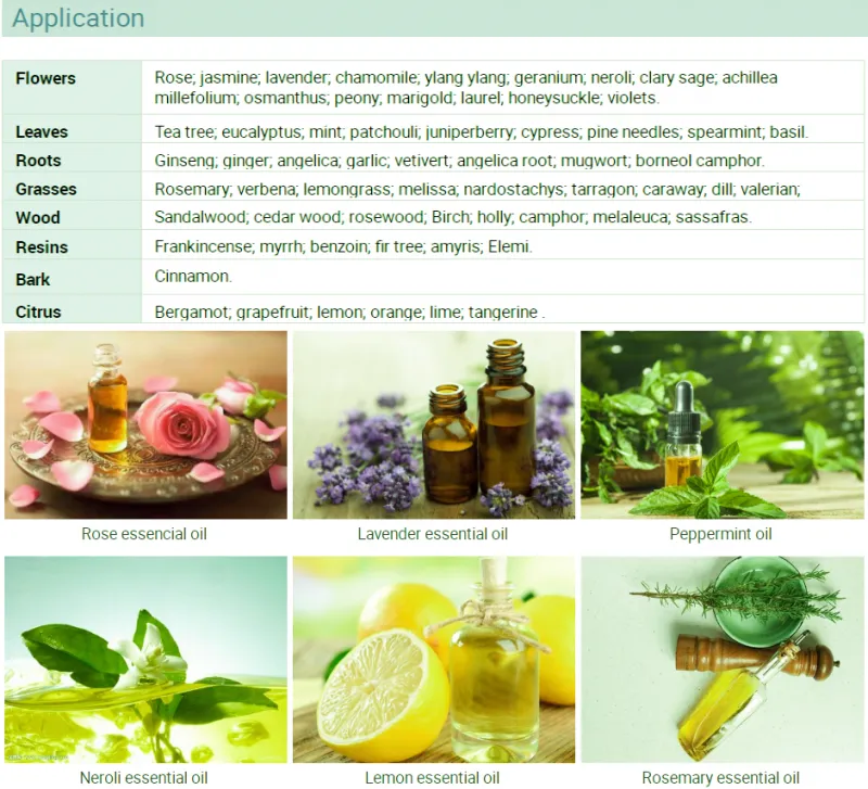 100L - 500L Honeysuckle Plant Flower Leaf Essential Oil Extractor Extraction Machine Essential Oil Distillation Equipment