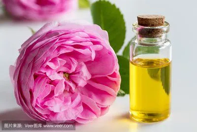50-100L Rose Essential Oilessential Oil Distillation Machine