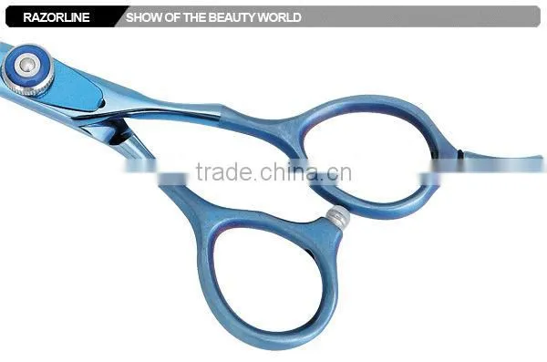 R1X Shiny Blade and Matt Handle Hair Cutting Salon Thinning Scissor Shear