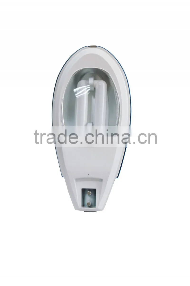 Acorn garden lighting induction light street lamp with five years warranty