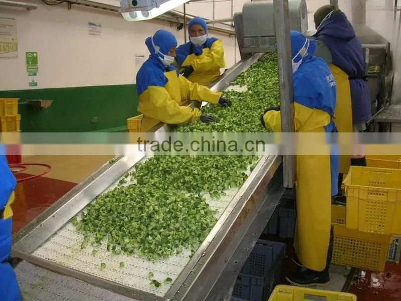 Stainless Steel Fruit Belt Conveyor Price