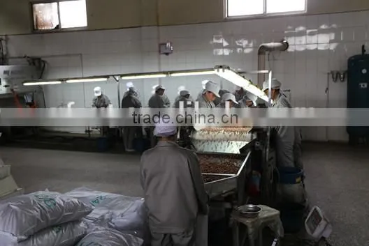 new products peanuts 1kg price raw peanuts prices peanut package